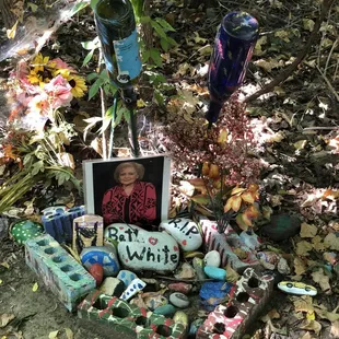 #Bettywhiterocks Betty White Rock fans show their art along the trail
