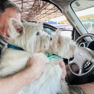 Georgia &amp; Grady arriving at their favorite restaurant!
