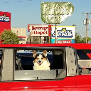 Keller's with Cowboy the Corgi
