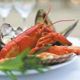 a plate of lobsters and oysters