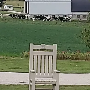 Unfiltered Big Chair and Moos