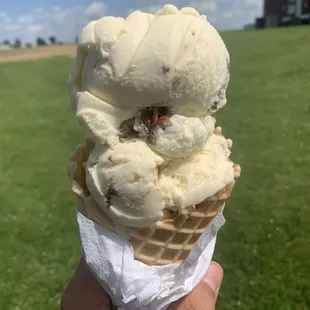 Butter Pecan (top), peanut butter peanut butter cup (bottom)