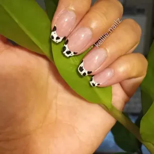 Cow print frenchies