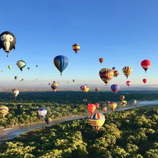 Sky filled with multi-color, hot air balloons