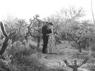 Steven Palm Photography