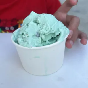 Mint chocolate chip