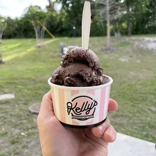 Non-Dairy Almond Joy - No coconut flavor. Tasted like a dollar tree fudgecicle with almonds in it.