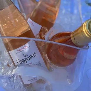 bottles of wine in ice