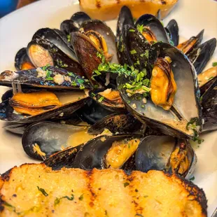 oysters, food, oysters and mussels, mussels, shellfish