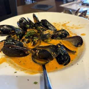 Mussels