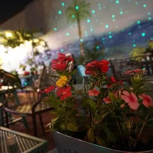 Outside on the Shack's Patio