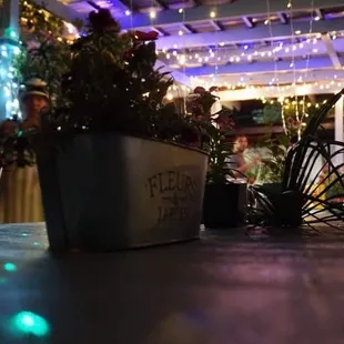 Outside on the Shack's Patio