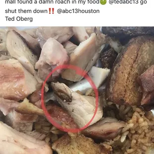 ROACH IN THE BOURBON CHICKEN