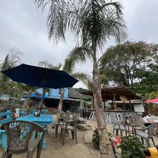 Tropics by the Beaver River