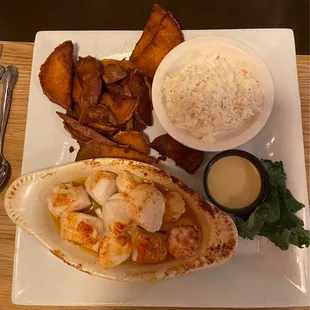 Broiled Scallops with sweet potato fries and Cole slaw