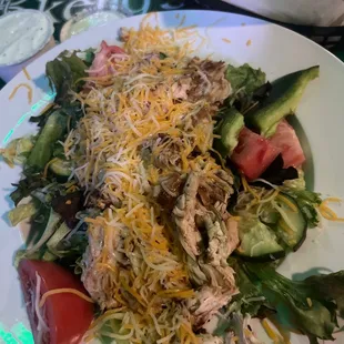 Grilled chicken salad - fries on the side