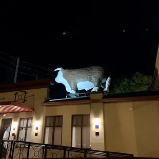 a cow on the roof