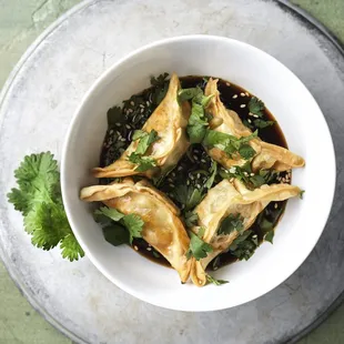 Gyoza &amp; Crab Rangoon Appetizers