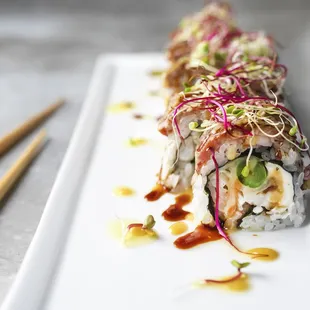 Best sushi Tampa