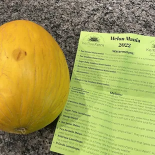 All the neons-this is a canary melon
