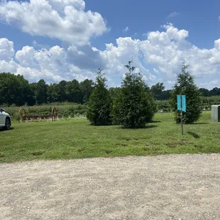 Beautiful day on the farm