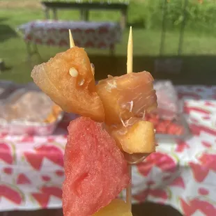 More melon samples