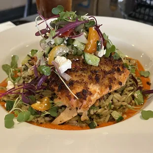 Salmon special