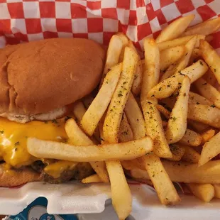 Homemade cheeseburger &amp; seasoned fries