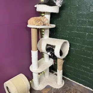 Plenty of love to share