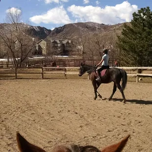 In one of the schools