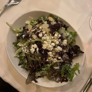 Nice Field Greens Salad
