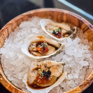 Oysters from the specials chefs menu