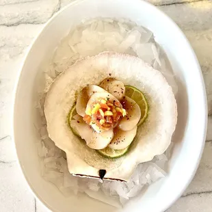 Scallop