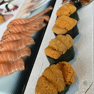Yellowtail Belly