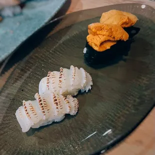 Sea Urchin
