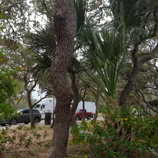 Really one of the nicest small rest stops I've ever seen