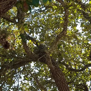 Wonder what kind of bird this is?