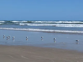Padre Island National Seashore