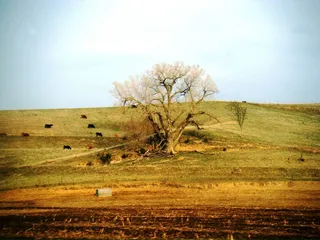 Loess Hills Scenic Byway