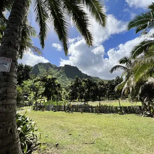 a view of the mountains