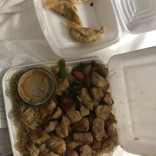 Chicken teriyaki and gyoza