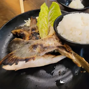 Hamachi collars