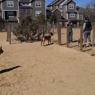 Visiting the smaller dog side...