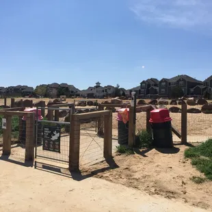 Huge, nice dog park in Denver.