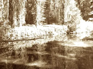 Tamarack Flat Campground