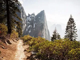 Wild Yosemite