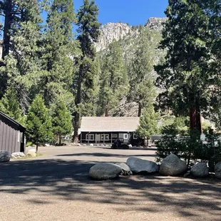 Bar in the most Majestic setting, like you're in Yosemite