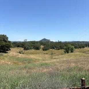 View of the impound basin. There use to be a functioning dam in the gulch. View from back parking lot.