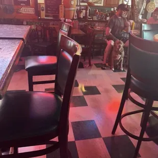 If you guys want to dine with dogs and worry that it will tear your face off then kennedy's is for you!