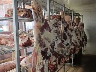 Ranchers Fed Beef